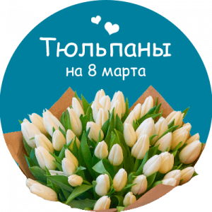 Купить тюльпаны в Сурске